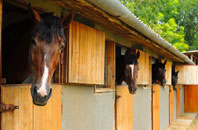 free Five Acres stable construction quotes